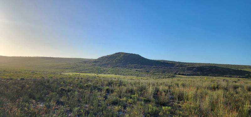 0 Bedroom Property for Sale in Albertinia Western Cape